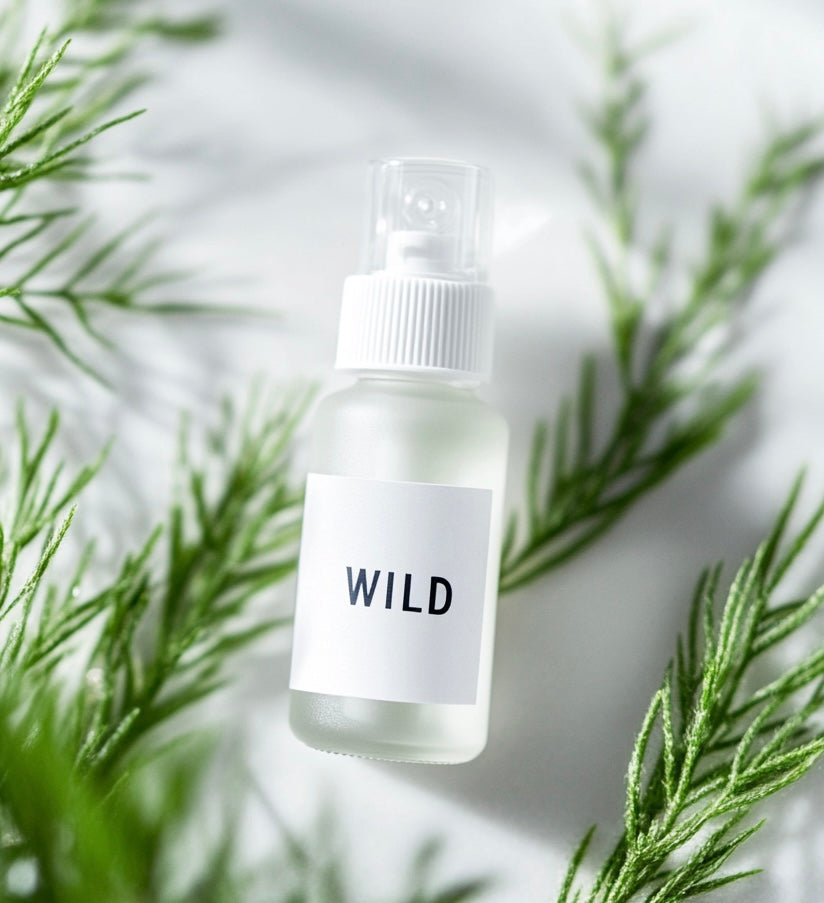 Anti-Frizz Leave-In Spray